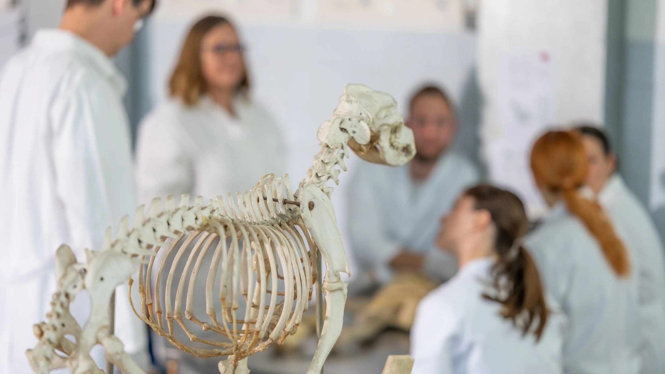 Students in professional training environment reviewing practical coursework